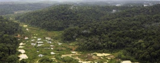 guyane.parc.mamazonien.limonade.jpg